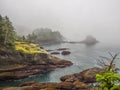 Cape Flattery in the fog Royalty Free Stock Photo