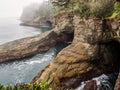 Cape Flattery in the fog Royalty Free Stock Photo