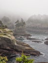 Cape Flattery in the fog Royalty Free Stock Photo