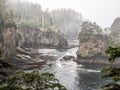 Cape Flattery in the fog Royalty Free Stock Photo