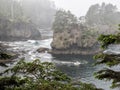 Cape Flattery in the fog Royalty Free Stock Photo