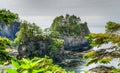 Cape Flattery on The North Washington Coast Royalty Free Stock Photo