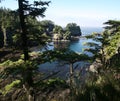 Cape Flattery in Olympic national park Royalty Free Stock Photo