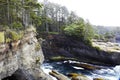 Cape Flattery, Olympic National Park, Washington State, United States Royalty Free Stock Photo