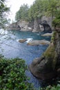 Cape Flattery View Royalty Free Stock Photo