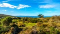 Cape of Good Hope Nature Reserve near the southern tip of the Cape Peninsul Royalty Free Stock Photo