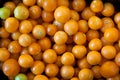 Cape gooseberries