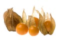 Cape Gooseberries Isolated