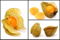 Cape gooseberry.