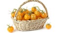 Cape Gooseberry Delight: A Basketful of Exquisite Flavor