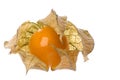 Cape Gooseberry Isolated