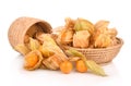 Cape gooseberry physalis in basket isolated on white background Royalty Free Stock Photo