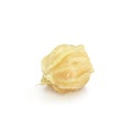 Cape Gooseberry, Physalis fruit or golden berry isolated over white background Royalty Free Stock Photo