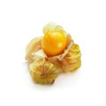 Cape Gooseberry, Physalis fruit or golden berry isolated over white background Royalty Free Stock Photo