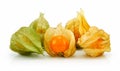 Cape Gooseberry (Physalis) Isolated Royalty Free Stock Photo