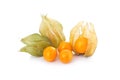 Cape gooseberry (physalis) isolated Royalty Free Stock Photo