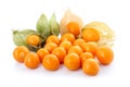 Cape gooseberry (physalis) isolated