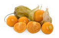 Cape gooseberry physalis isolated on white background Royalty Free Stock Photo