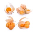 Cape gooseberry physalis isolated on white background Royalty Free Stock Photo