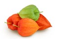 Cape gooseberry, physalis isolated on white background with full depth of field Royalty Free Stock Photo