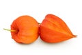 Cape gooseberry, physalis isolated on white background with full depth of field Royalty Free Stock Photo