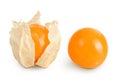 Cape gooseberry or physalis isolated on white background wit full depth of field Royalty Free Stock Photo