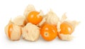 Cape gooseberry or physalis isolated on white background wit full depth of field Royalty Free Stock Photo