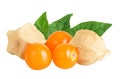 Cape gooseberry or physalis isolated on white background wit full depth of field Royalty Free Stock Photo