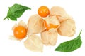 Cape gooseberry or physalis isolated on white background wit full depth of field. Top view. Flat lay Royalty Free Stock Photo