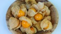 cape gooseberry (Physalis peruviana) in betel palm plate on white background Royalty Free Stock Photo