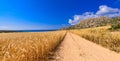 Cape greco view 3 Royalty Free Stock Photo