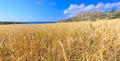 Cape greco view 2 Royalty Free Stock Photo