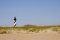 Cape Hatteras Lighthouse Royalty Free Stock Photo