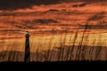 Cape Hatteras Lighthouse In Sunset Glow
