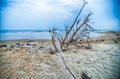 Cape Hatteras National Seashore on Hatteras Island North Carolina USA Royalty Free Stock Photo