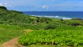 Cape Hedo coastline in the north of Okinawa Royalty Free Stock Photo