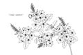 Cape leadwort flower drawing and sketch. Royalty Free Stock Photo