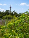 Cape May Lighthouse, New Jersey, Forest View Royalty Free Stock Photo