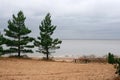 Cape Naval coast of the Gulf of Finland a place of rest near the forest Royalty Free Stock Photo