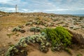 Cape Nelson State park close to Portland in Australia