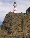 Cape Palliser Lighthouse Royalty Free Stock Photo