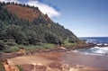 Cape Perpetua