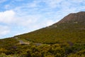 Colorful and bushy mountain slope along the Cape Peninsula.
