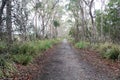 Cape Queen Elizabeth Track Bruny Island Tasmania Australia. Hiking and bushwalking trail Royalty Free Stock Photo