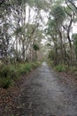 Cape Queen Elizabeth Track Bruny Island Tasmania Australia. Hiking and bushwalking trail Royalty Free Stock Photo