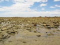 Cape Recife nature reserve at Angola bay in Port Elizabeth on Sunshine Coast, South Africa Royalty Free Stock Photo