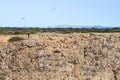 Sagres seen from the Portuguese Cabo de Sao Vicente Royalty Free Stock Photo