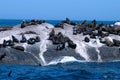 Cape seals