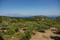 Greece, Zakynthos, Road to skinari lighthouse at zakynthos island north cape. Cape Skinari With Views Across The Sea To Kefalonia