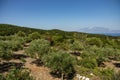 Greece, Zakynthos, Road to skinari lighthouse at zakynthos island north cape. Cape Skinari With Views Across The Sea To Kefalonia Royalty Free Stock Photo